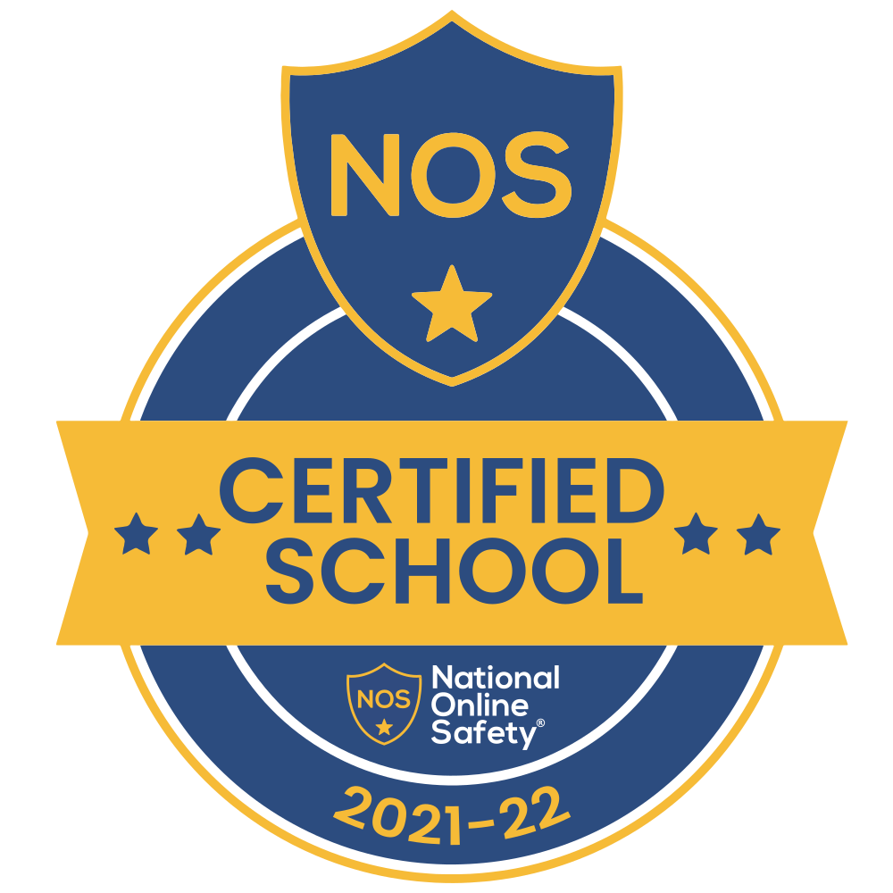 National Online Safety logo